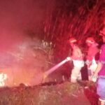 Kebakaran lahan yang ditumbuhi pohon bambu terjadi di Jalan Pembangunan No. 83, Cileungsi, Kabupaten Bogor, Foto/Isitimewa