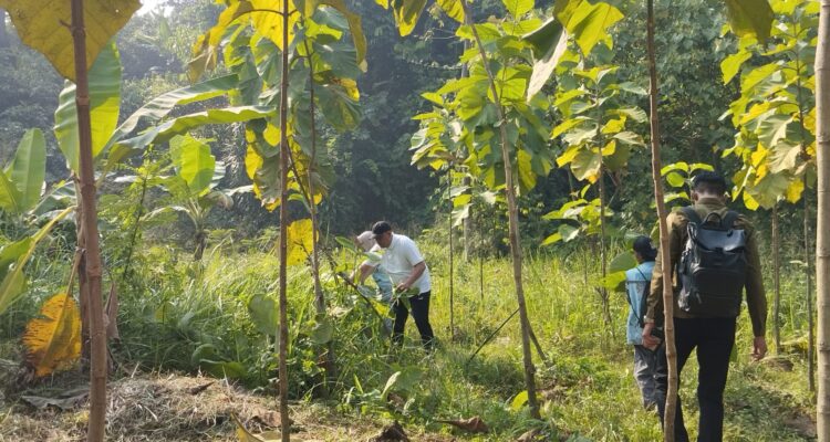 Bupati Bogor, Rudy Susmanto, Foto/Isitimewa