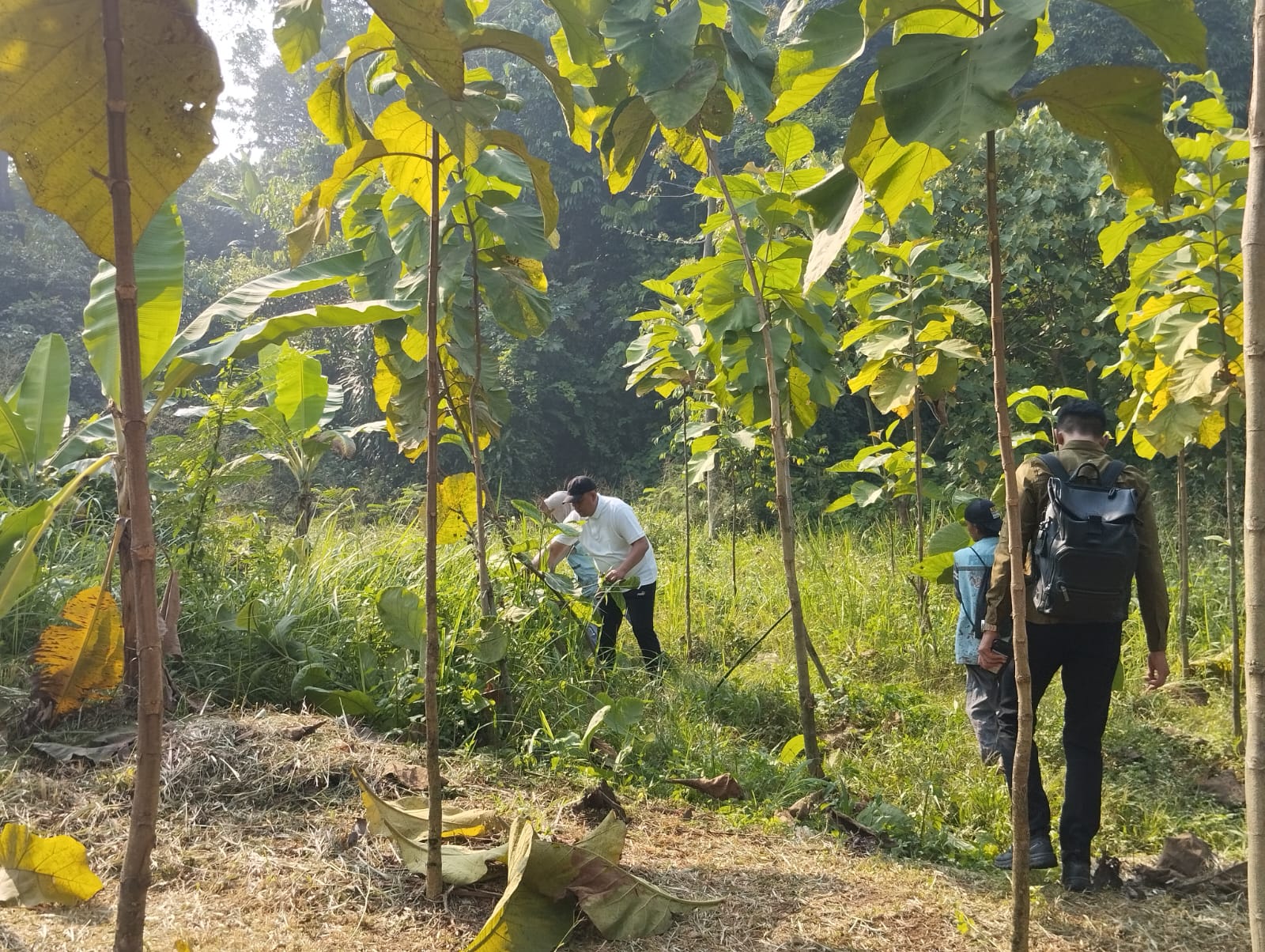Bupati Bogor, Rudy Susmanto, Foto/Isitimewa