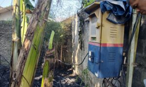 Kondisi lahan kosong yang terbakar di Pamoyanan Bogor, Foto/Istimewa Kondisi lahan kosong yang terbakar di Pamoyanan Bogor, Foto/Istimewa