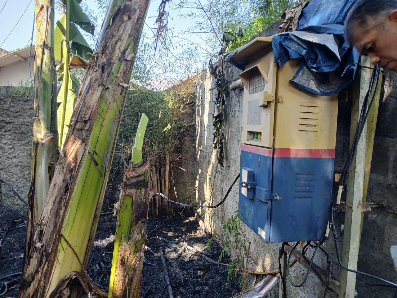 Kondisi lahan kosong yang terbakar di Pamoyanan Bogor, Foto/Istimewa