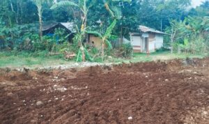 Salah satu bidang lahan warga yang disebut belum diganti rugi, namun sudah dibuldoser. , Foto/Isitimewa