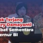 Destry Damayanti
