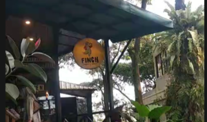 Finch Coffee & Resto, Foto/Maya Melina