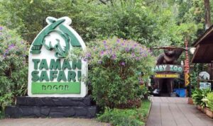 Taman Safari Bogor, Foto/Isitmewa Taman Safari Bogor, Foto/Isitmewa