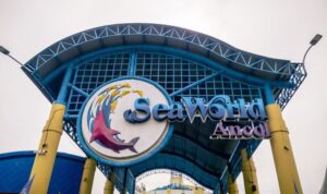Sea World Ancol, Foto/Isitimewa Sea World Ancol, Foto/Isitimewa