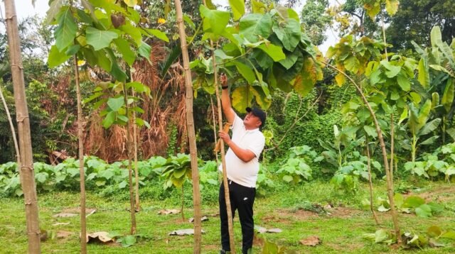 Bupati Bogor Rudy Susmanto, Foto/Isitmewa