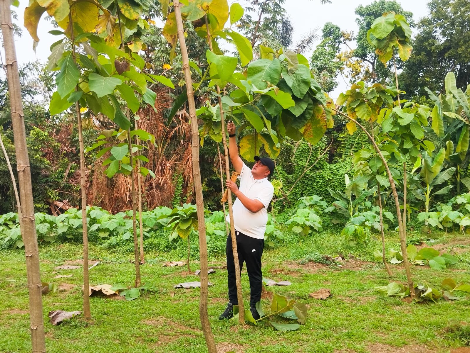 Bupati Bogor Rudy Susmanto, Foto/Isitmewa